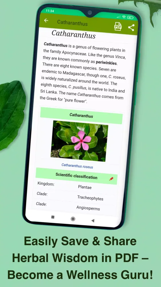 Medicinal Plants & Herbs Guide Screenshots