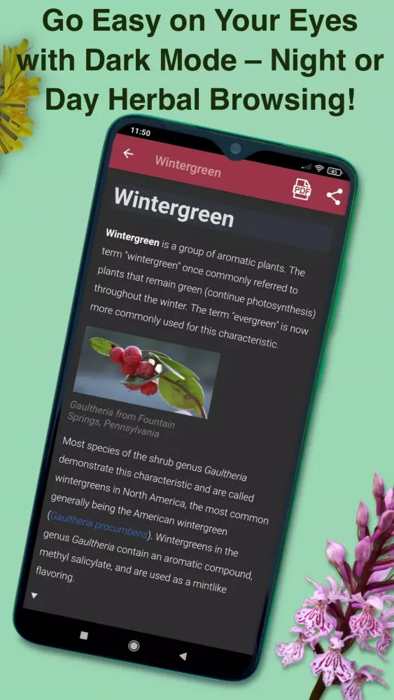 Medicinal Plants & Herbs Guide Screenshots