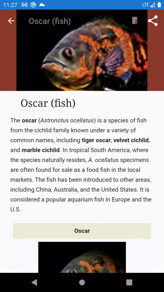 Aquarium fish應用截圖