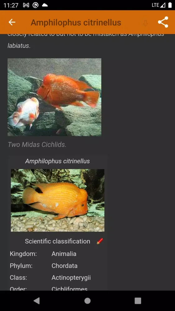 Aquarium fish應用截圖