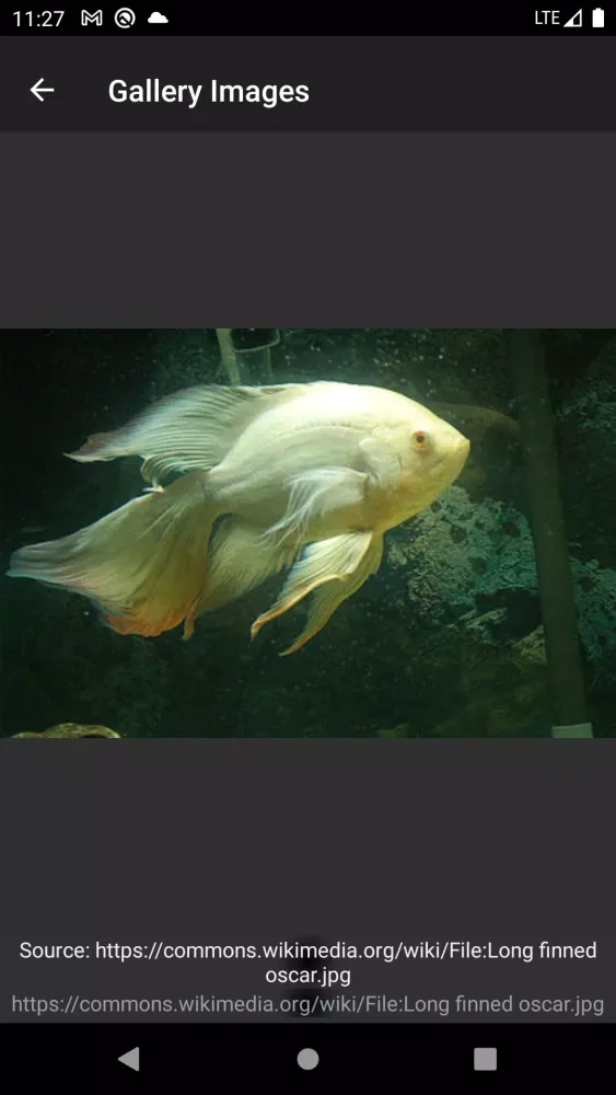 Aquarium fish應用截圖