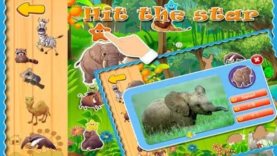صور Toddler's Zoo Animals Puzzle