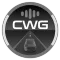 CarWebGuru Car Launcher