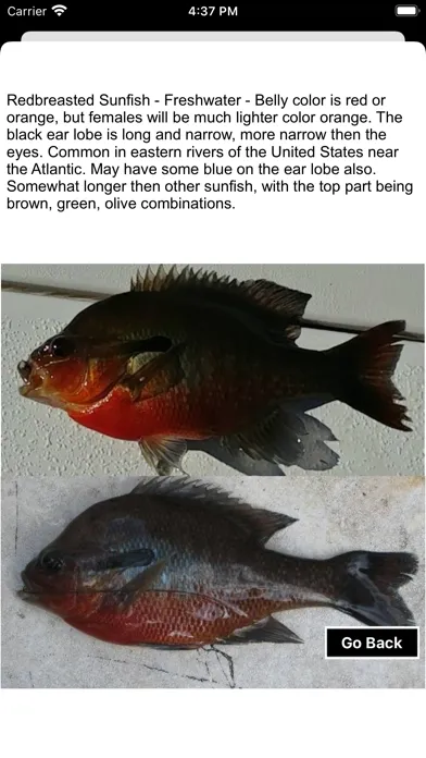 Fisherman's Fish ID應用截圖