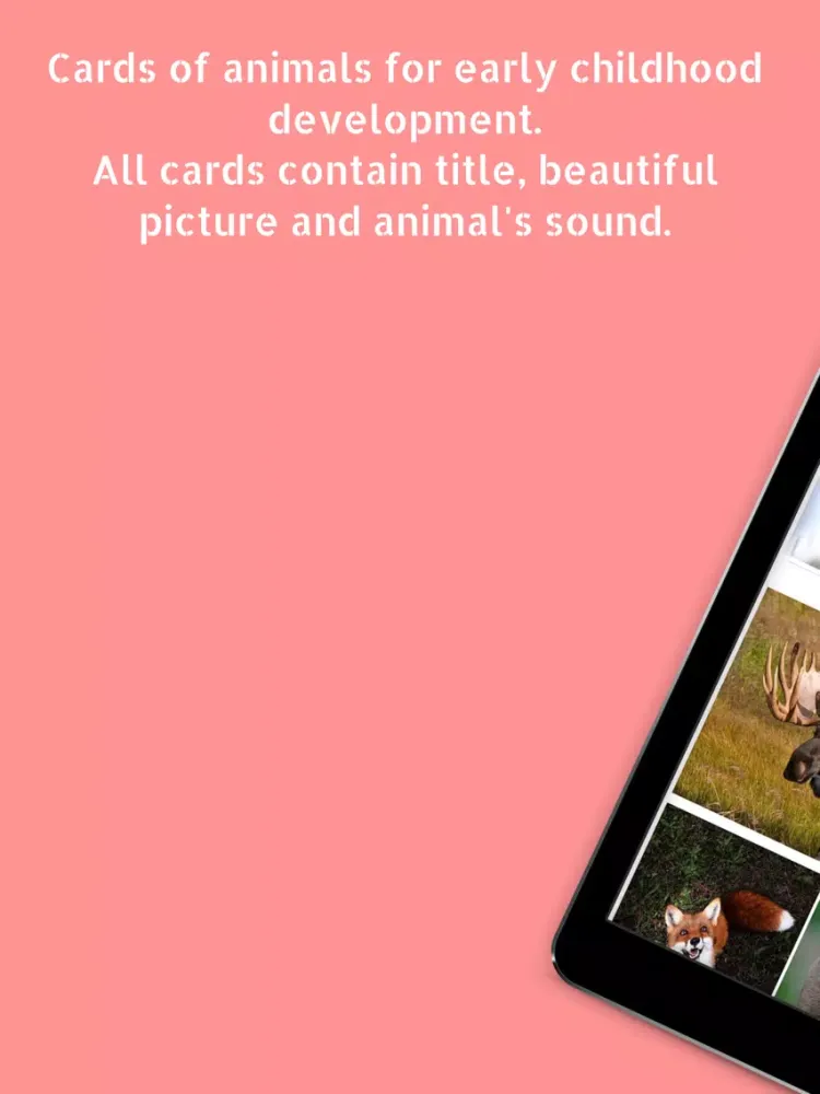 Kids' Library: Animals (Full) iPad  سکرین شاٹس