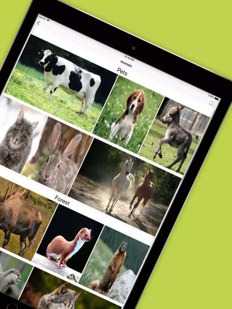 Kids' Library: Animals (Full) iPad  سکرین شاٹس