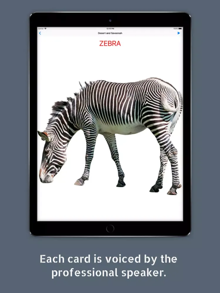 Kids' Library: Animals (Full) iPad  سکرین شاٹس