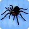 Spider Solitaire