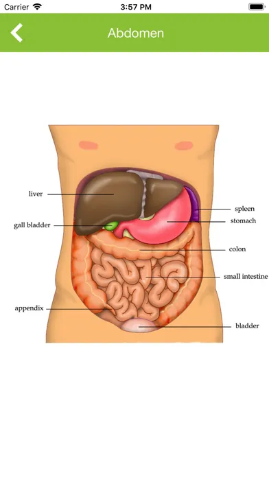 Screenshot di Biology Encyclopedia