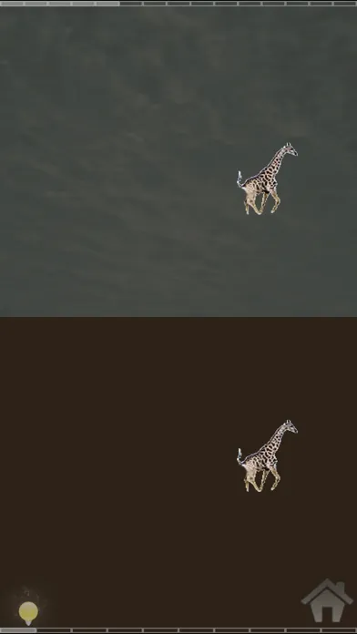 Eye movement Screenshots