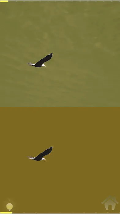 Eye movement Screenshots