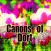 The Canons of Dort