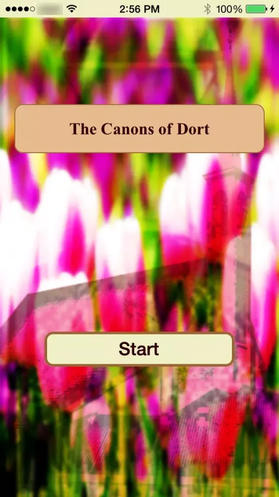 صور The Canons of Dort