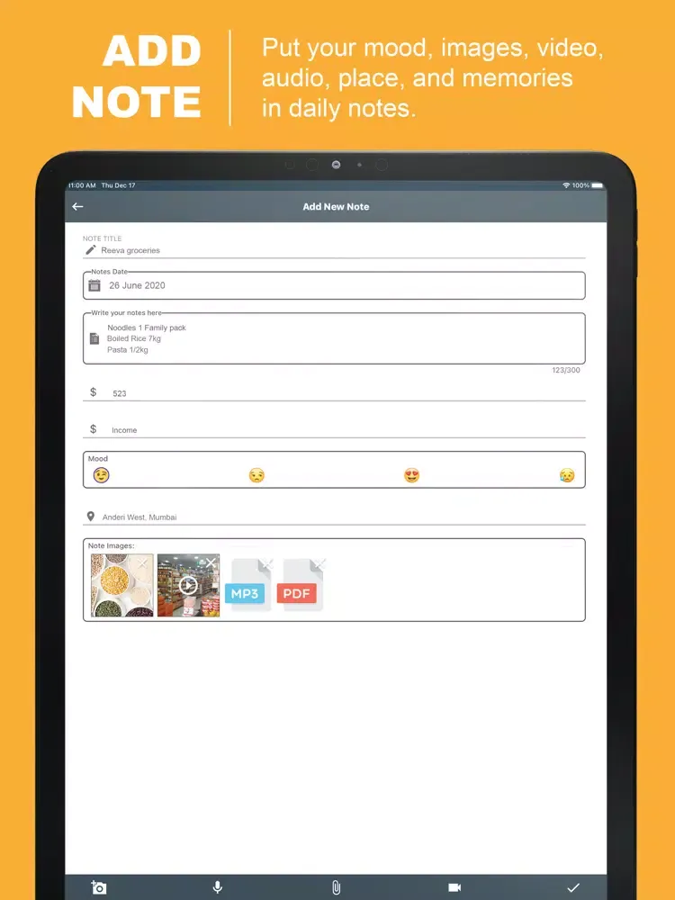 Daily Note Diary - My Notebook iPad 应用截图