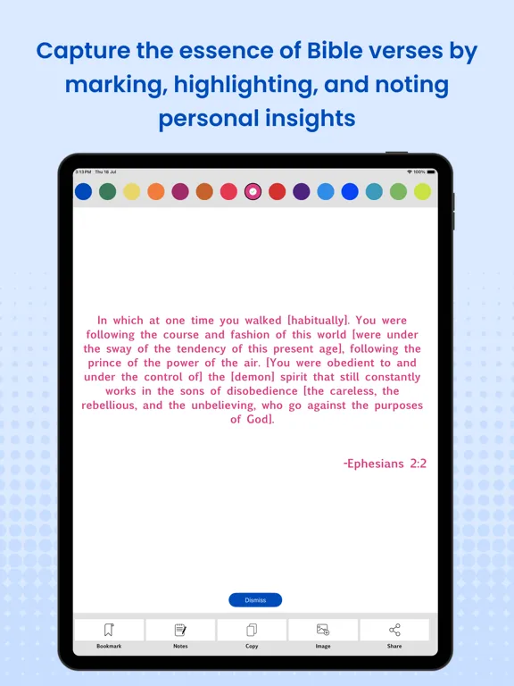 Tangkapan skrin Amplified Bible Pro (AMP) iPad 