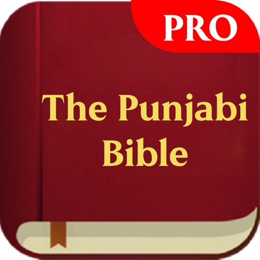 The Punjabi Bible Pro