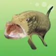 Coarse And Game Fishing Coarse And Game Fishing