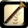 Shehnai HD - A Trumpet like Indian Musical Instrument Shehnai HD - A Trumpet like Indian Musical Instrument