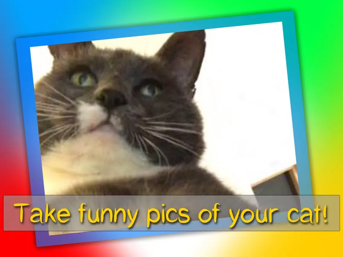 Скриншоты Cat's Pleasure iPad 
