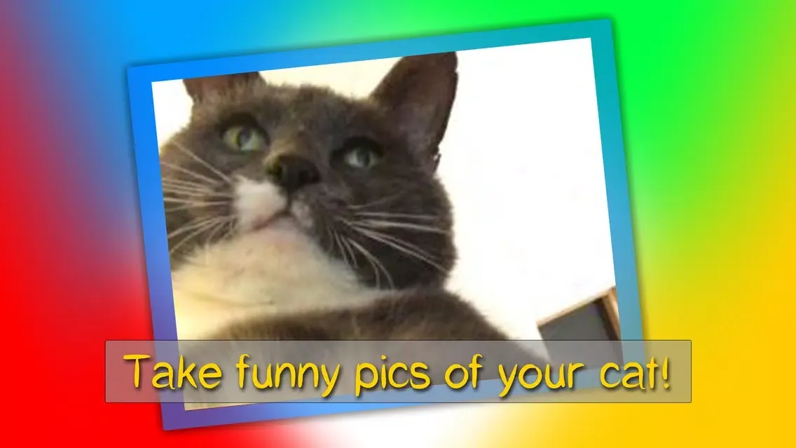 Скриншоты Cat's Pleasure