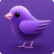 AI Chat Bot + by IntelliWords