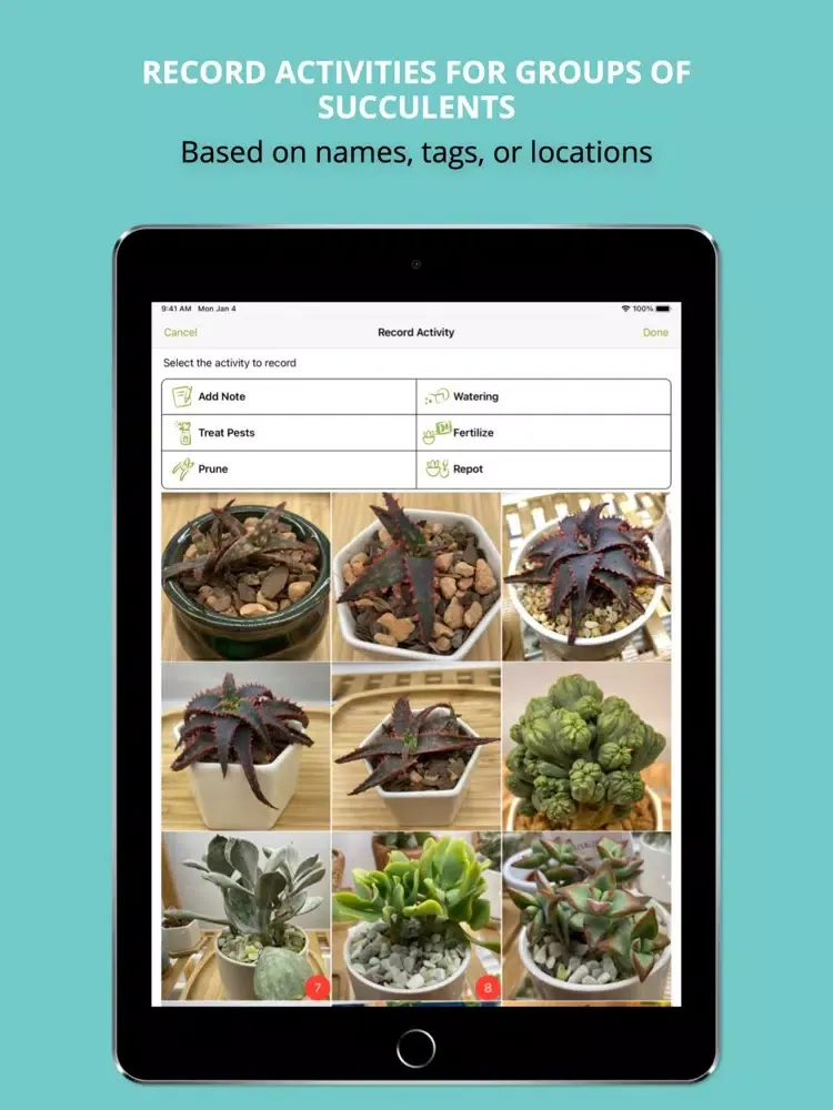Succulent Tracker (Legacy) iPad  Screenshots
