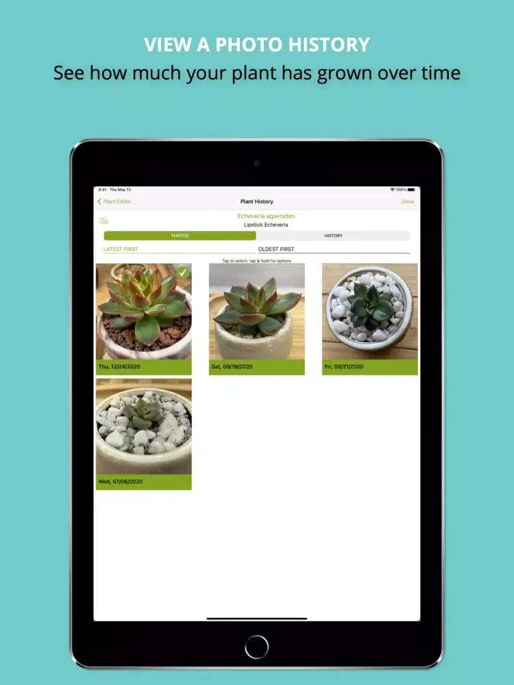 Succulent Tracker (Legacy) iPad  Screenshots