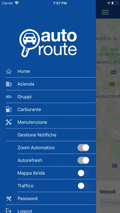 Скриншоты Autoroute