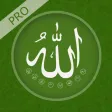 Names of Allah Pro Names of Allah Pro