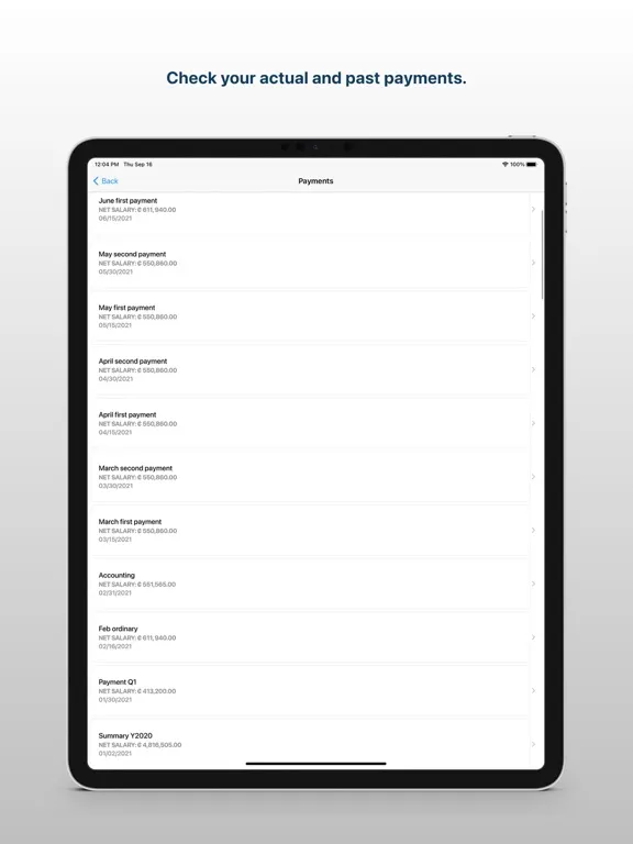 Zrzuty ekranu SOIN ERP iPad 