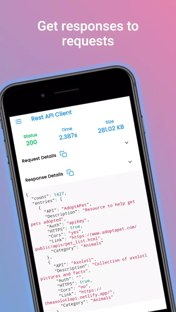 صور Rest API Client