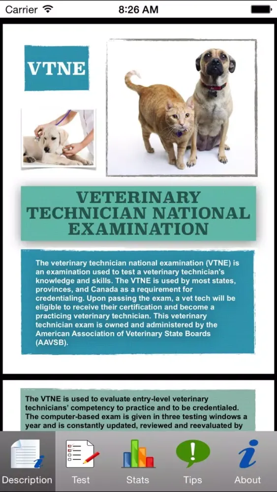 Скриншоты VTNE Tests