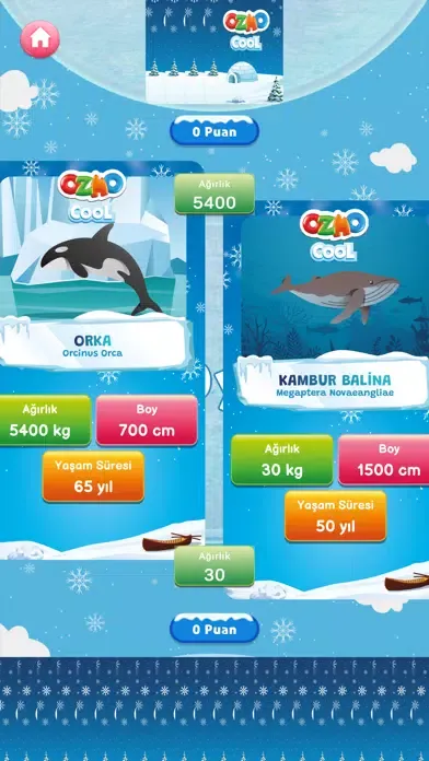 Ảnh chụp màn hình của Ozmo Cool Kutup Macerası
