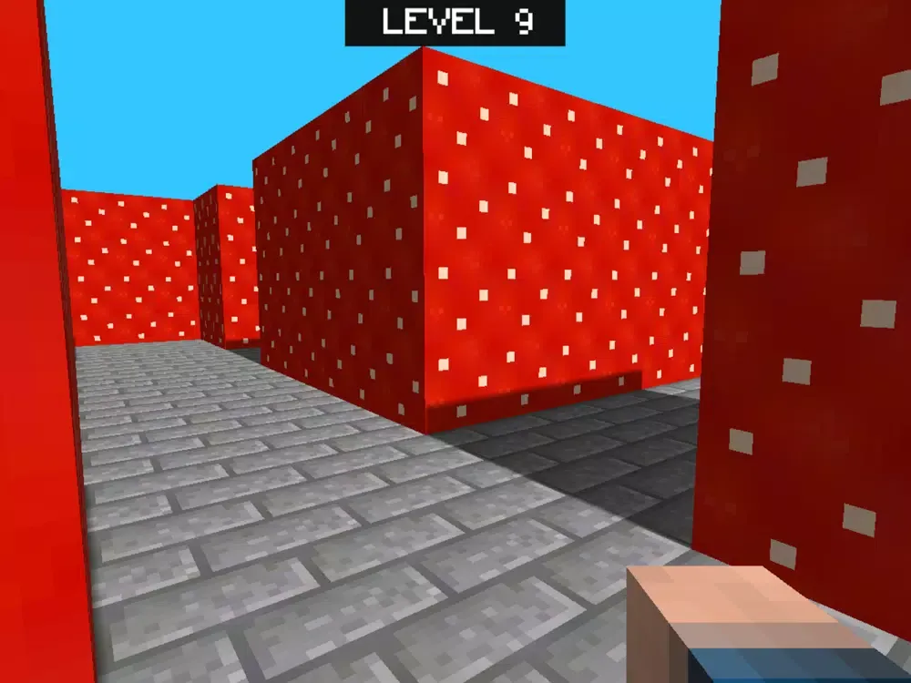 صور Multicraft Maze 3D iPad 