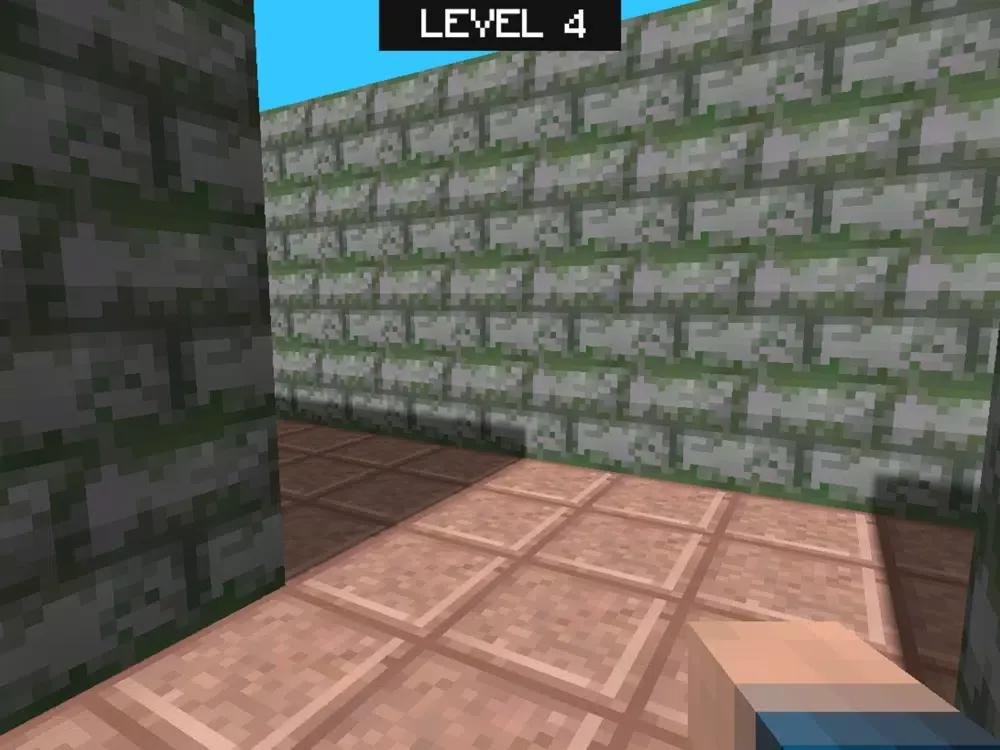 صور Multicraft Maze 3D iPad 