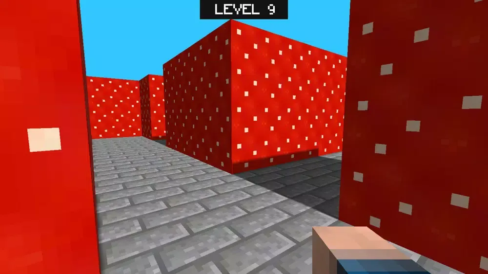 صور Multicraft Maze 3D