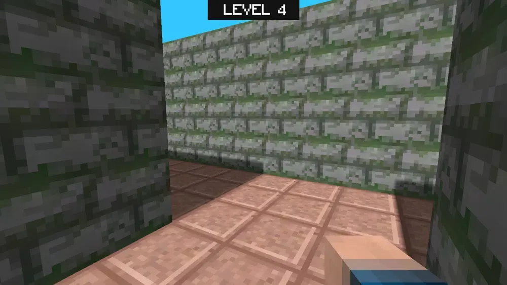 صور Multicraft Maze 3D