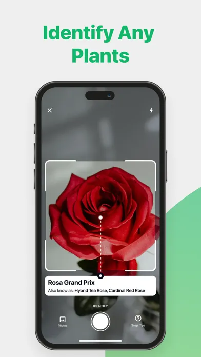 Floro Plant Identifier Scanner Screenshots