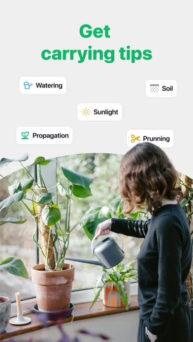 Floro Plant Identifier Scanner Screenshots