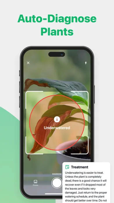 Floro Plant Identifier Scanner Screenshots