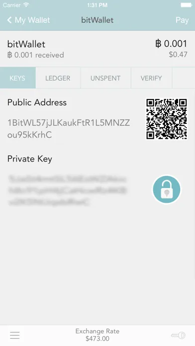 bitWallet™  —  Bitcoin Wallet स्क्रीनशॉट