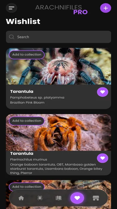 Capturas de tela do Arachnifiles