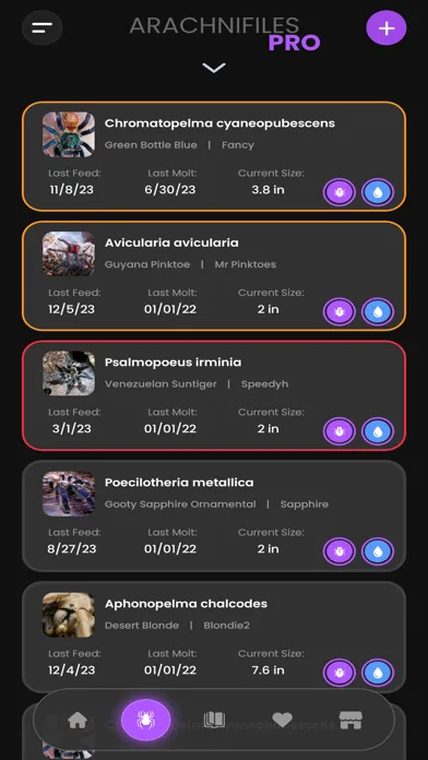 Capturas de tela do Arachnifiles