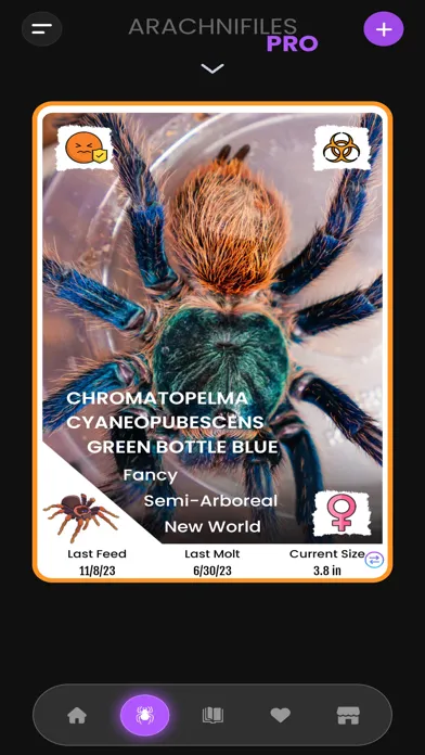 Capturas de tela do Arachnifiles