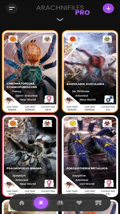 Capturas de tela do Arachnifiles