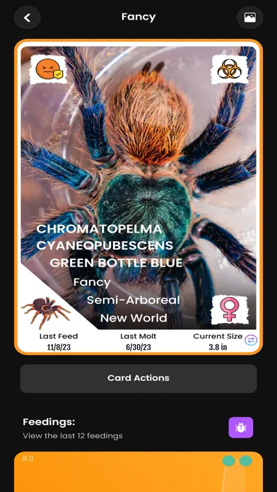 Capturas de tela do Arachnifiles