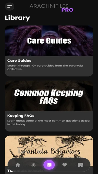 Capturas de tela do Arachnifiles