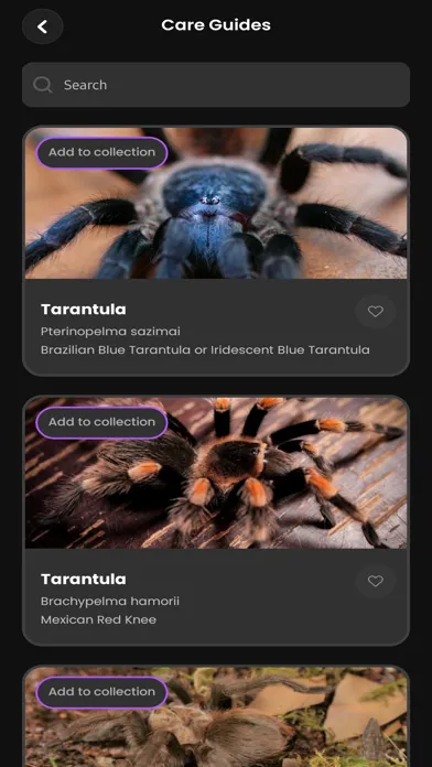 Capturas de tela do Arachnifiles