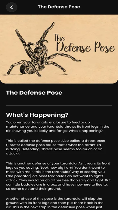 Capturas de tela do Arachnifiles