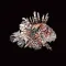 Report Florida Lionfish